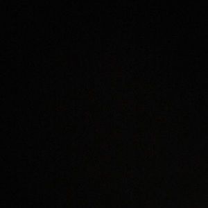 Meet your Posher, Max