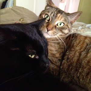 Meet your Posher, Debra