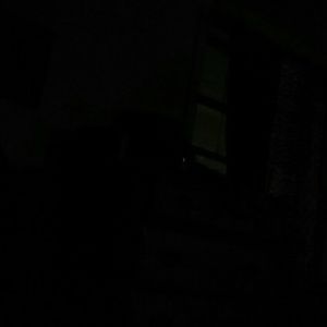 Meet your Posher, Bridgette