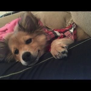 Meet your Posher, Roxana