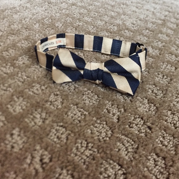 Bow tie