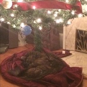 Meet your Posher, Valerie