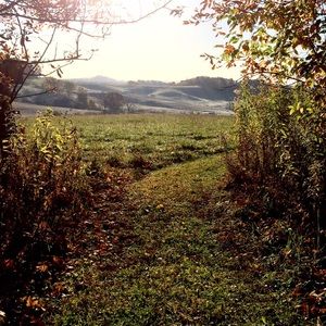 Meet your Posher, Mckenzie