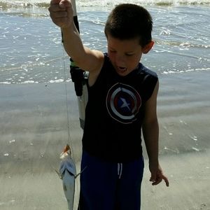 Meet your Posher, Rebekah