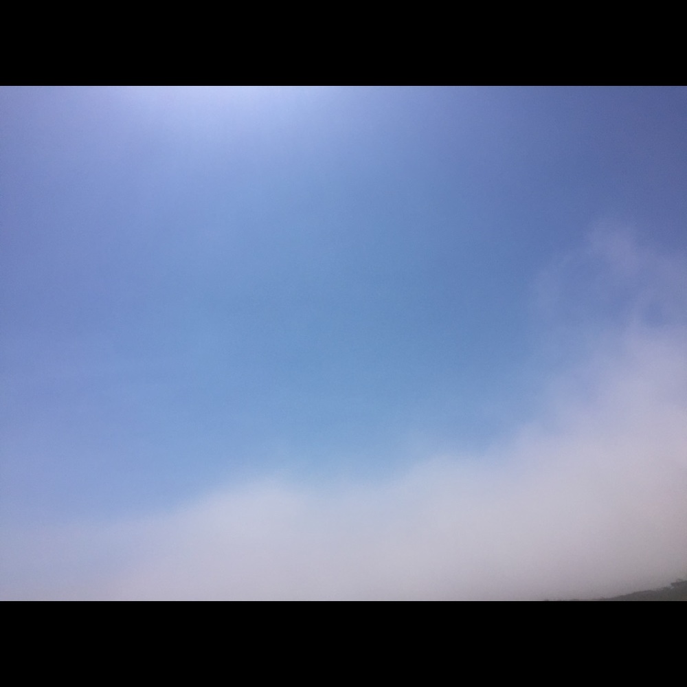 Meet your Posher, Ivy