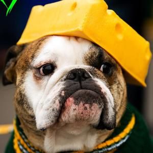 Meet your Posher, Jodi