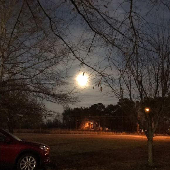 Meet your Posher, Tammy