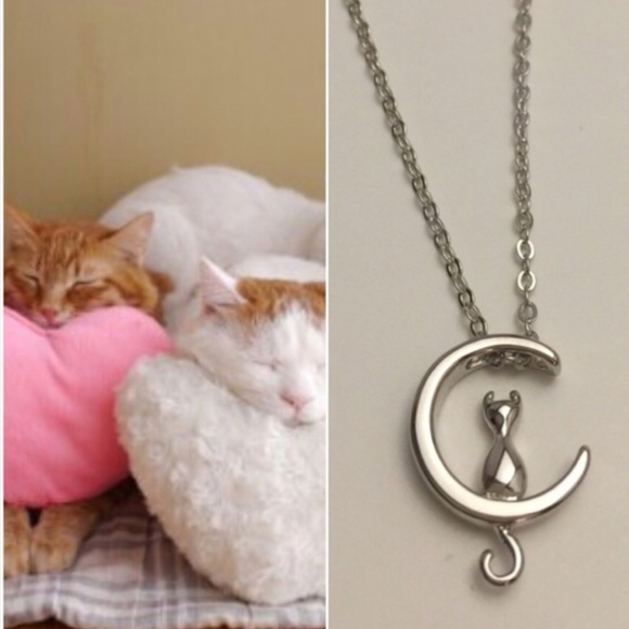 Kitty on a ๐ Moon 18" 9.25 SS - Picture 4 of 5