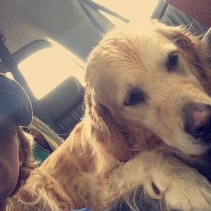 Meet your Posher, Jack