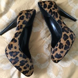 Sexy leopard print pump