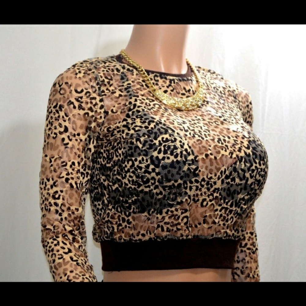 Chocolate Brown Cream and Black Lace Crop Top
