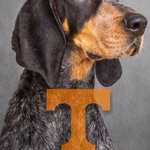 Meet your Posher, Wade