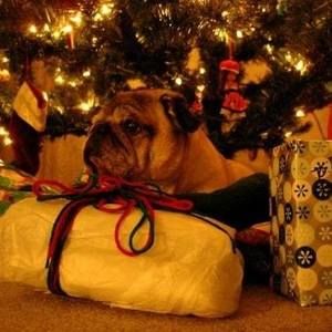 Meet your Posher, Karla