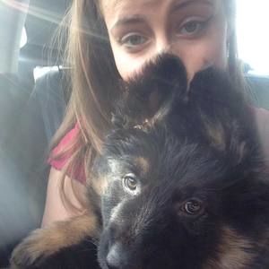 Meet your Posher, Ashley