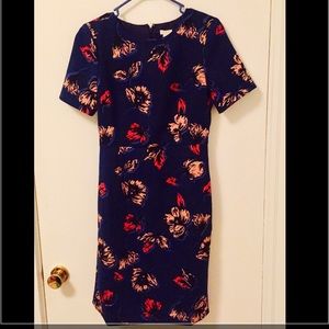 J crew Dress