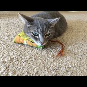 Meet your Posher, Summer