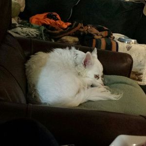 Meet your Posher, Kathleen