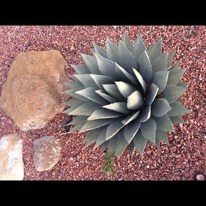 Meet your Posher, Jan