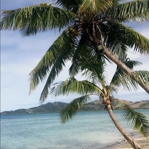 Meet your Posher, Dominic