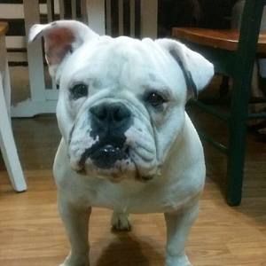 Meet your Posher, Felipe