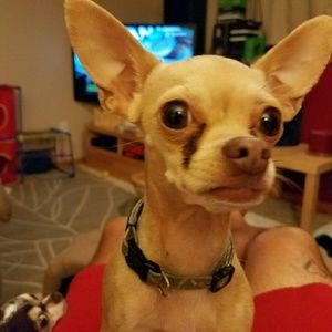 Meet your Posher, John