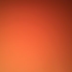 Meet your Posher, Autumn