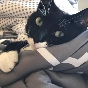 Meet your Posher, Ericka