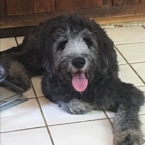 Meet your Posher, Sean