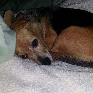 Meet your Posher, Lesa