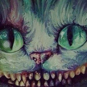 Meet your Posher, Yvette