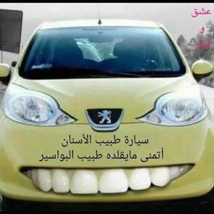 Meet your Posher, Ali