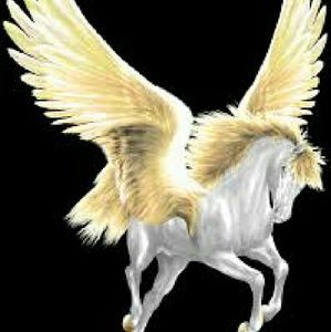 Meet your Posher, Susanna