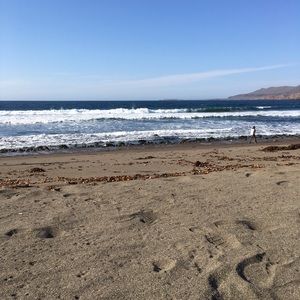 Meet your Posher, Elise