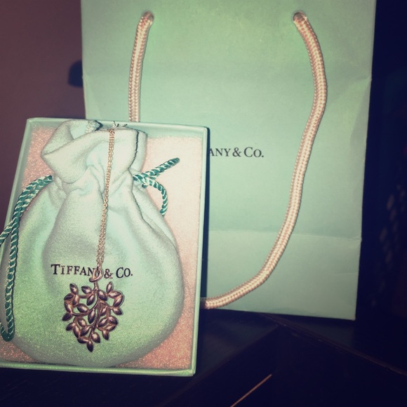 Tiffany & Co. Necklace