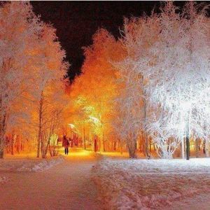 Meet your Posher, Jody