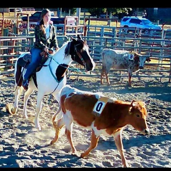 Meet your Posher, Haley