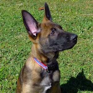 Meet your Posher, Anthony