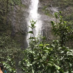 Meet your Posher, Barb