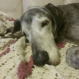 Meet your Posher, Julie