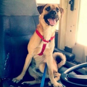 Meet your Posher, Christian