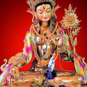 Meet your Posher, Tsering