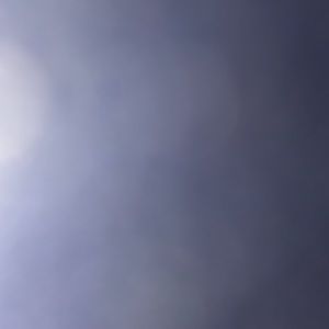 Meet your Posher, Taja