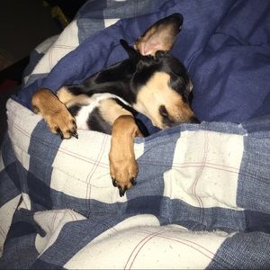 Meet your Posher, Heather