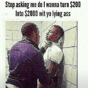 Meet your Posher, Roy