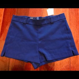 Navy blue shorts.