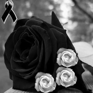 Meet your Posher, Rafael