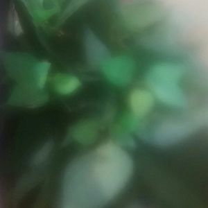 Meet your Posher, Kenya