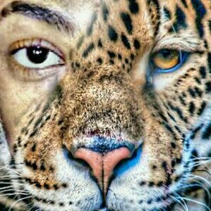 Meet your Posher, Matt