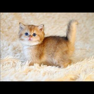 Meet your Posher, Natalia