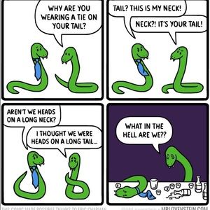 Meet your Posher, Gladwin